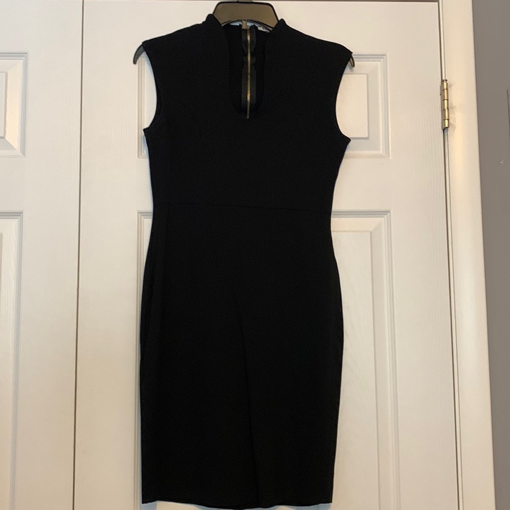 Rolls Coster dress